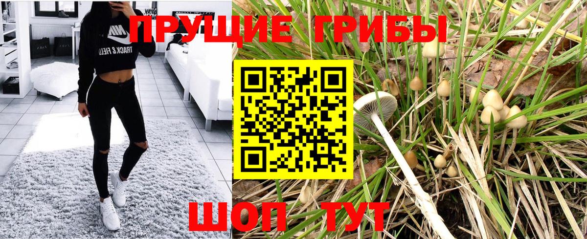 Новосибирск  Галлюциногенные грибы ЛСД  Вход с VPN 