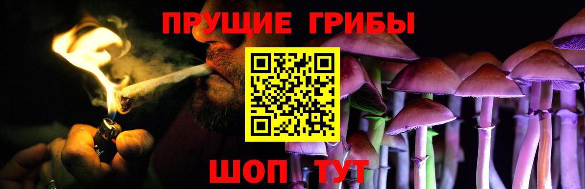 Галлюциногенные грибы ЛСД Новосибирск